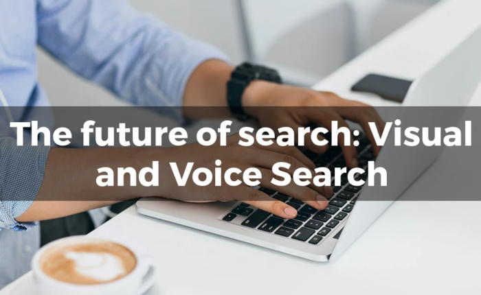 Visual and voice searches have become more important than text input