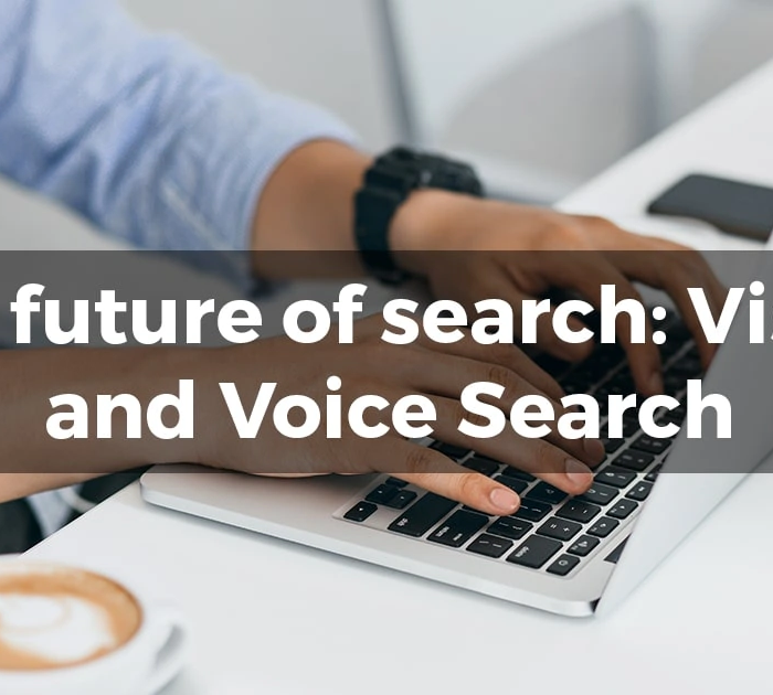 Visual and voice searches have become more important than text input