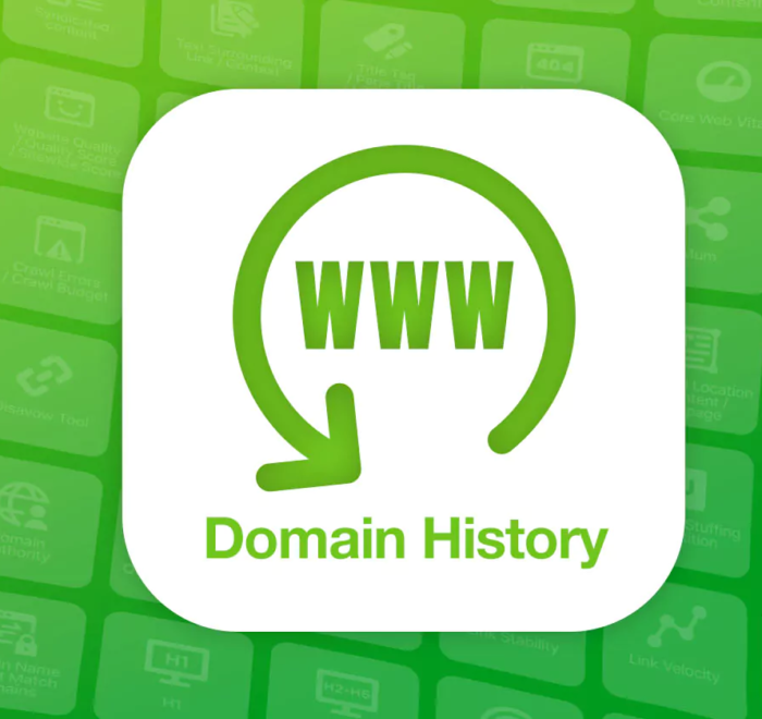 A Deeper Look Into How Domain History Impacts Google Rankings